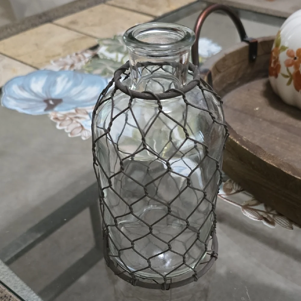 Rustic Glass Vase with Wire Netting